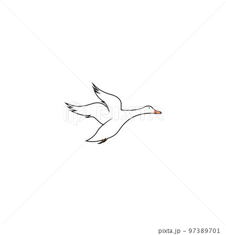 swan logo 97389701