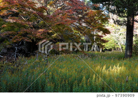 茨城県笠間市 笠間城 続日本100名城 茨城県笠間市 笠間城 続日本100名城 97390909