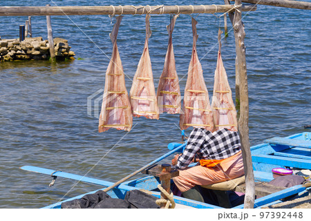 Fisherman dried fish on the sun, Croatia. fish on a drying rack along the adriatic sea. 97392448