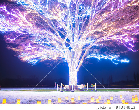 長岡　越後丘陵公園　イルミネーション 97394913