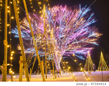 長岡　越後丘陵公園　イルミネーション 97394914