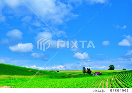 青空と北海道美瑛の丘 (赤い屋根のある丘) 青空と北海道美瑛の丘 (赤い屋根のある丘) 97394941