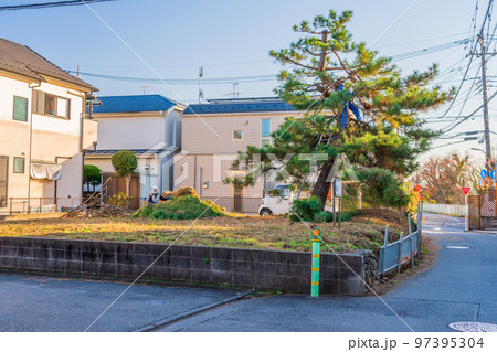 放置された宅地で松の手入れする庭師 97395304