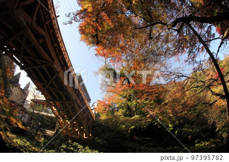 石川県加賀市山中　こおろぎ橋とひろがる紅葉した木々 97395782
