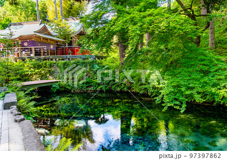 熊本県 南阿蘇村の白川水源 熊本県 南阿蘇村の白川水源 97397862