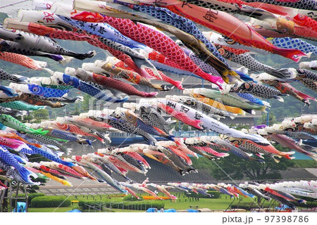 村おこし お役御免になった節句の飾り物 泳げ鯉のぼり1 97398786