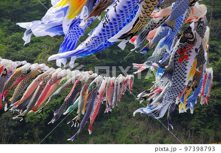 村おこし お役御免になった節句の飾り物 泳げ鯉のぼり7 97398793