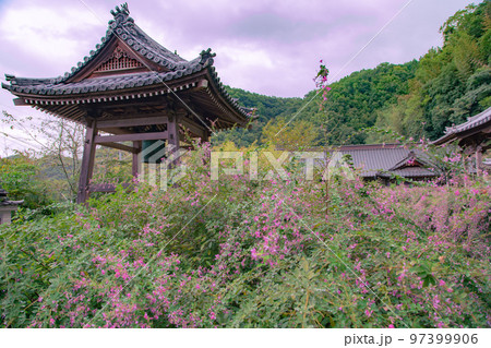 香川の萩寺 最明寺 香川の萩寺 最明寺 97399906