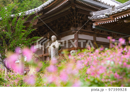 香川の萩寺 最明寺 香川の萩寺 最明寺 97399928
