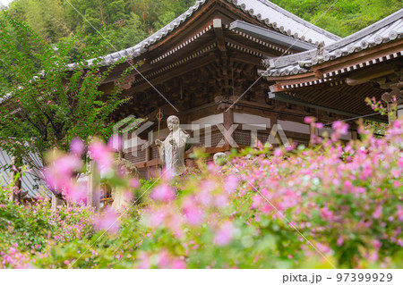 香川の萩寺　最明寺 97399929