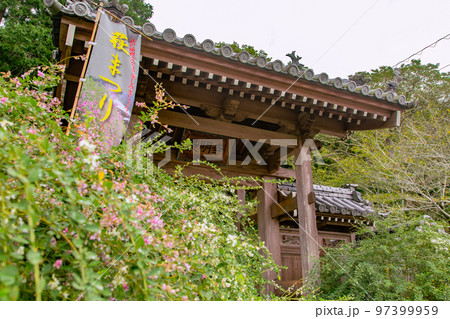 香川の萩寺 最明寺 香川の萩寺 最明寺 97399959