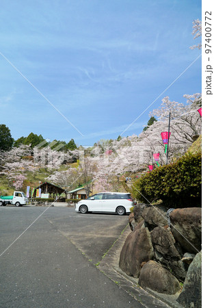 碧い空と桜_蘭丸ふる里の森 碧い空と桜_蘭丸ふる里の森 97400772