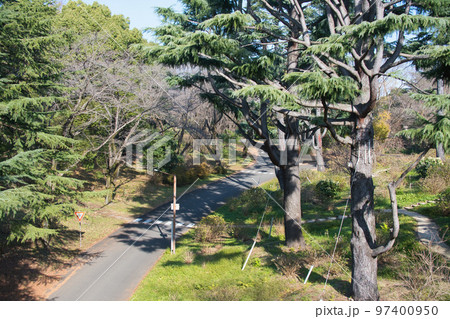 公園の風景 97400950