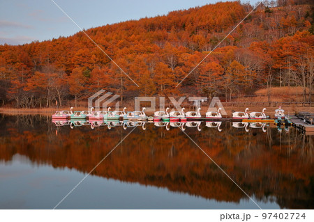 長野県北佐久郡立科町大字芦田八ヶ野 夕暮れの女神湖の紅葉と湖面への映り込み 長野県北佐久郡立科町大字芦田八ヶ野 夕暮れの女神湖の紅葉と湖面への映り込み 97402724