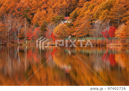 長野県北佐久郡立科町大字芦田八ヶ野　夕暮れの女神湖の紅葉と湖面への映り込み 97402726