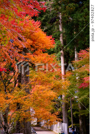 雲辺寺の紅葉 感動の光景が広がる 雲辺寺の紅葉 感動の光景が広がる 97402827