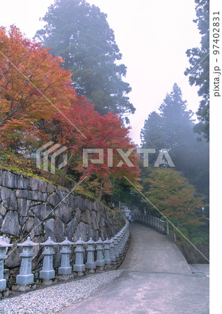 雲辺寺の紅葉 感動の光景が広がる 雲辺寺の紅葉 感動の光景が広がる 97402831