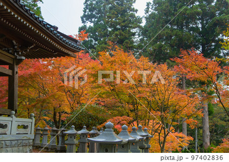 雲辺寺の紅葉　感動の光景が広がる 97402836