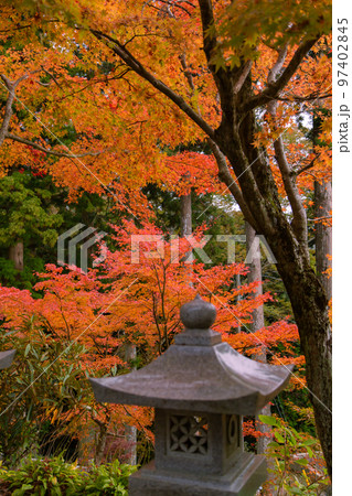 雲辺寺の紅葉 感動の光景が広がる 雲辺寺の紅葉 感動の光景が広がる 97402845