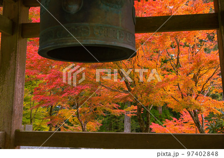 雲辺寺の紅葉 感動の光景が広がる 雲辺寺の紅葉 感動の光景が広がる 97402848