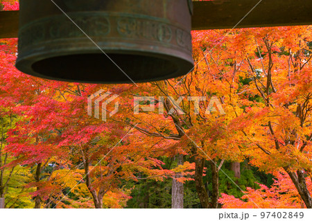 雲辺寺の紅葉　感動の光景が広がる 97402849