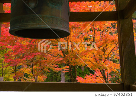 雲辺寺の紅葉　感動の光景が広がる 97402851