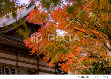 雲辺寺の紅葉 感動の光景が広がる 雲辺寺の紅葉 感動の光景が広がる 97402864