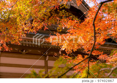 雲辺寺の紅葉 感動の光景が広がる 雲辺寺の紅葉 感動の光景が広がる 97402867