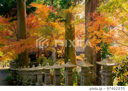 雲辺寺の紅葉　感動の光景が広がる 97402870