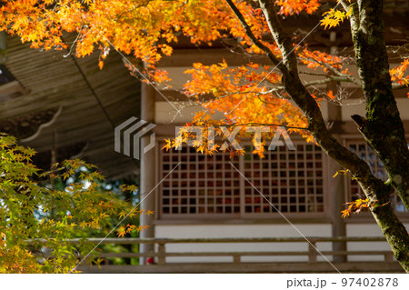 雲辺寺の紅葉 感動の光景が広がる 雲辺寺の紅葉 感動の光景が広がる 97402878