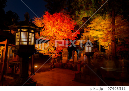 雲辺寺の紅葉　ライトアップで浮かび上がる感動の光景 97403511