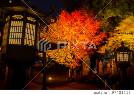 雲辺寺の紅葉　ライトアップで浮かび上がる感動の光景 97403512