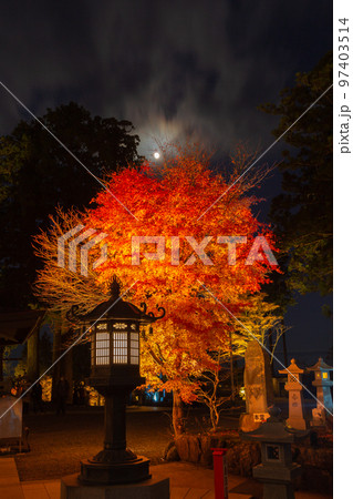 雲辺寺の紅葉　ライトアップで浮かび上がる感動の光景 97403514
