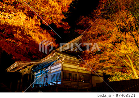 雲辺寺の紅葉 ライトアップで浮かび上がる感動の光景 雲辺寺の紅葉 ライトアップで浮かび上がる感動の光景 97403521