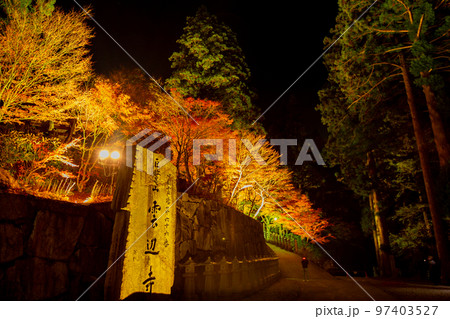 雲辺寺の紅葉　ライトアップで浮かび上がる感動の光景 97403527