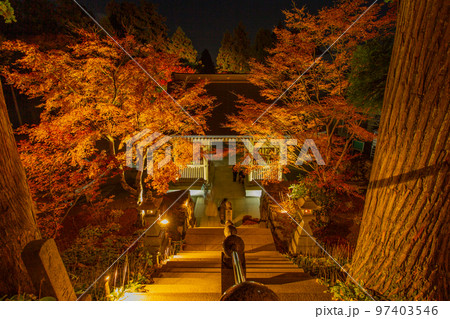 雲辺寺の紅葉 ライトアップで浮かび上がる感動の光景 雲辺寺の紅葉 ライトアップで浮かび上がる感動の光景 97403546
