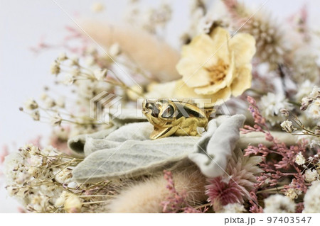 金色に光る豚とドライフラワー 金色に光る豚とドライフラワー 97403547