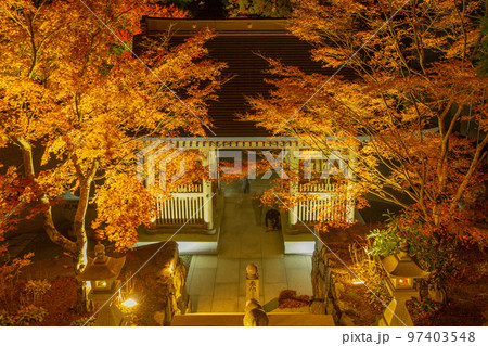雲辺寺の紅葉 ライトアップで浮かび上がる感動の光景 雲辺寺の紅葉 ライトアップで浮かび上がる感動の光景 97403548