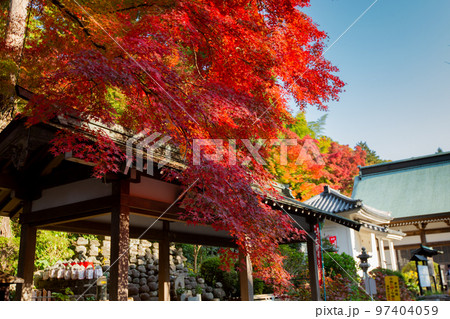 四国霊場第八十一番札所　白峯寺の紅葉 97404059