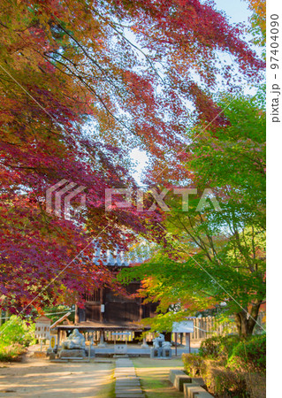四国霊場第八十一番札所　白峯寺の紅葉 97404090