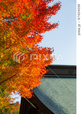 四国霊場第八十一番札所　白峯寺の紅葉 97404096