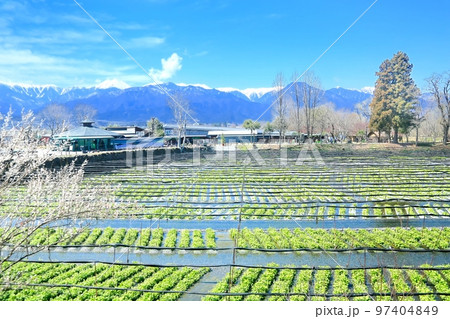春の大王わさび農場 春の大王わさび農場 97404849