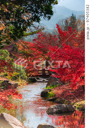 香川用水記念公園の紅葉が最高 香川用水記念公園の紅葉が最高 97405382