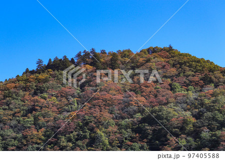 相模湖の紅葉（神奈川県相模原市緑区） 97405588