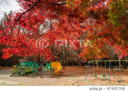 満濃池森林公園の紅葉が素敵 満濃池森林公園の紅葉が素敵 97405708