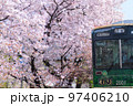 京都府　嵐電　車両先頭アップ＆桜満開 97406210