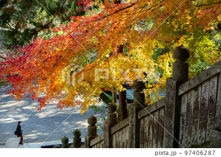 こんぴらさんの紅葉　裏参道の紅葉が美しい 97406287
