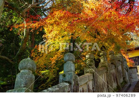 こんぴらさんの紅葉 裏参道の紅葉が美しい こんぴらさんの紅葉 裏参道の紅葉が美しい 97406289