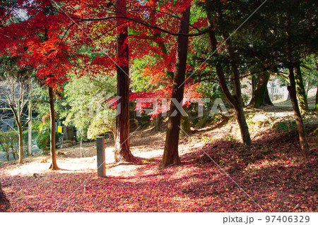 こんぴらさんの紅葉 裏参道の紅葉が美しい こんぴらさんの紅葉 裏参道の紅葉が美しい 97406329
