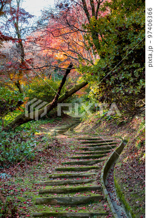 こんぴらさんの紅葉　裏参道の紅葉が美しい 97406366